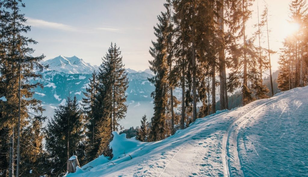 LES MEILLEURES STATIONS DE SKI POUR LES DÉBUTANTS